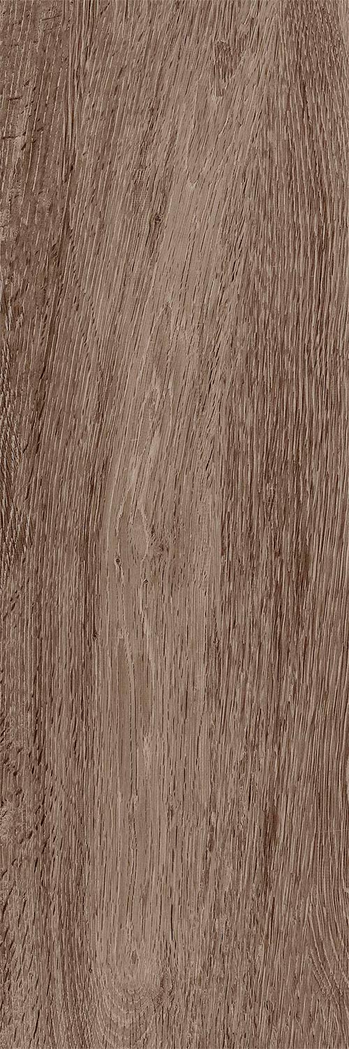 Baikal brown PG 02 20х60