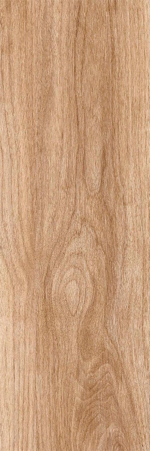 Siberia beige PG 01 20х60