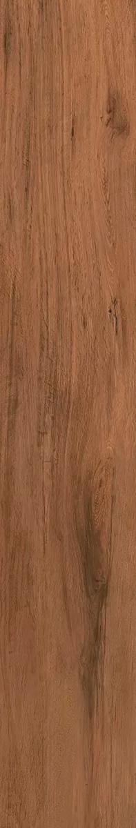 Сальветти беж темный обрезной 20х119.5