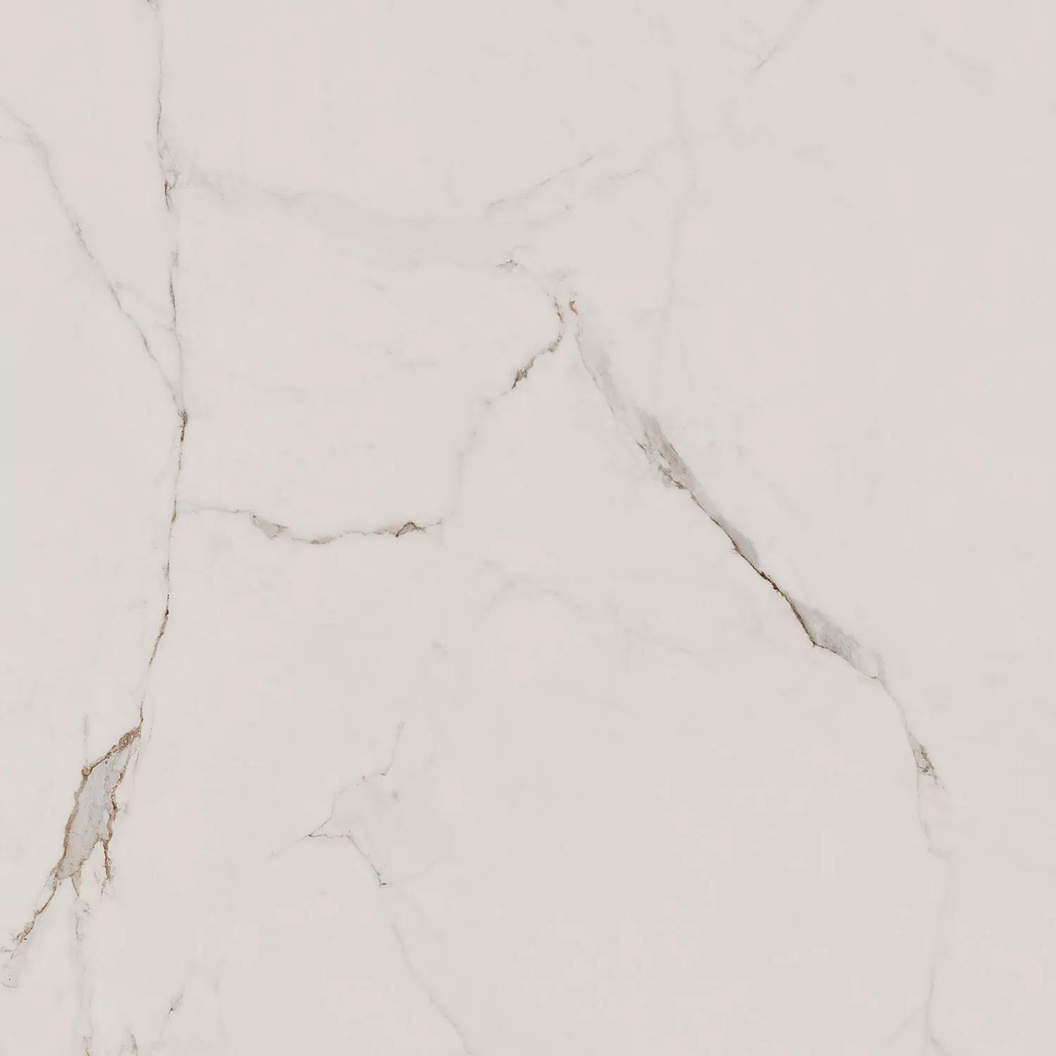 Монте Тиберио бежевый светлый матовый обрезной 80x80