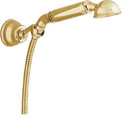 Комплект (душевая лейка, шланг, кронштейн) классический  (цв.золото) Cisal ZZ