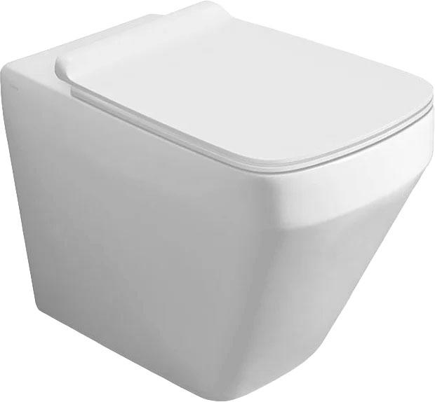 Унитаз пристенный 56x36см, безободковый, установка со скрытым бачком смыва, без сиденья, и креплений к стене арт. F 91,  (цв.белый), Baden Baden ZZ