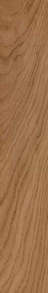 Селект Вуд беж темный|9.6x60