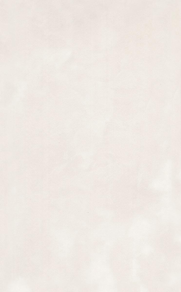 Фоскари бежевый ZZ|25x40