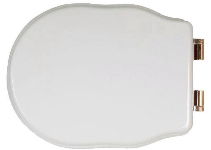 Сиденье для ПОДВЕСНОГО унитаза, с микролифтом, (цв. белый, петли цв. бронза), Bristol ZZ