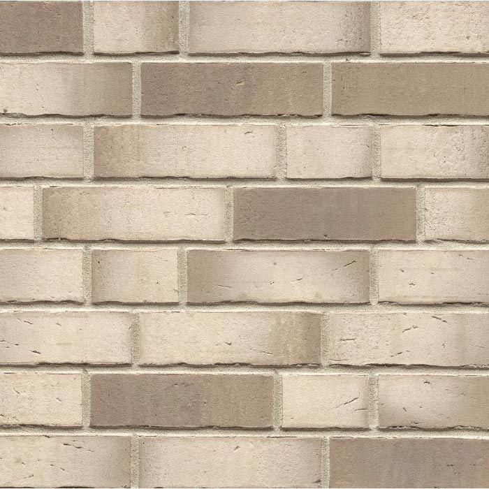 R941NF14 Vario argo albula ZZ |24x1.4x7.1