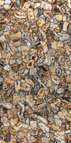 Agata Atena Lucidato (Shiny) 6 mm 150x300