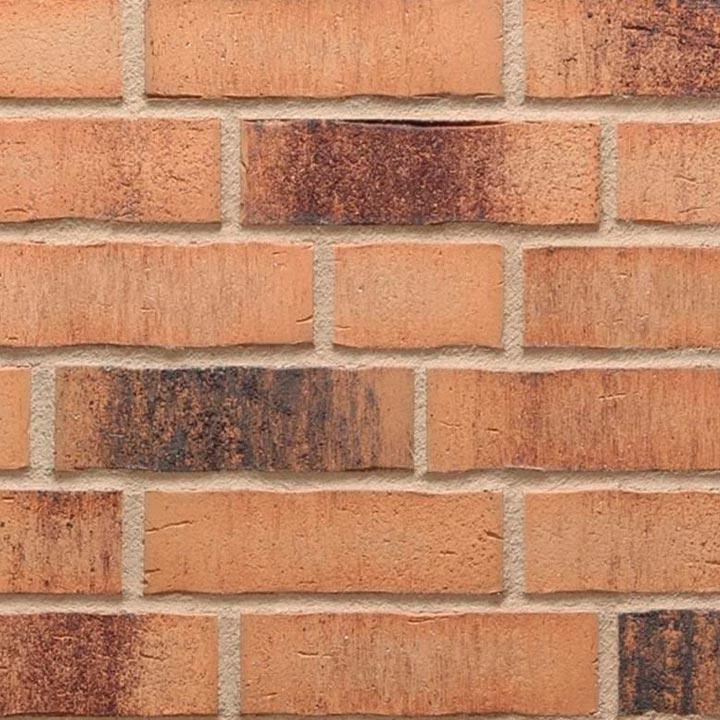 R734NF14 Vascu sabiosa ocasa ZZ |24x1.4x7.1