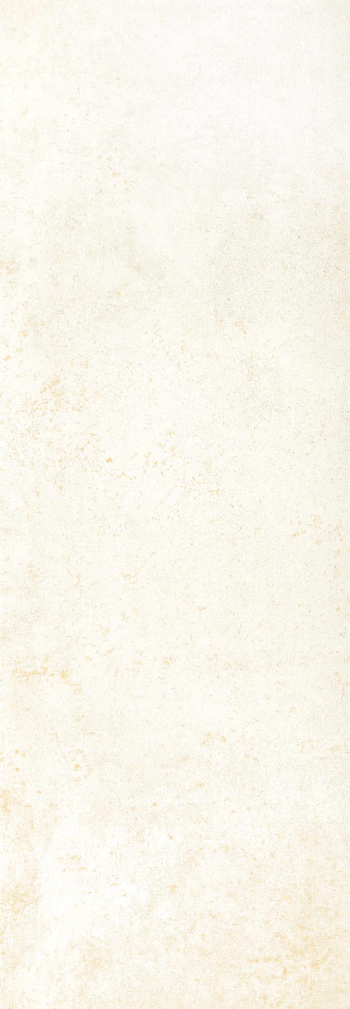 Metallic Platinum ret.XX 35x100