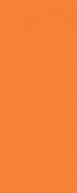 Городские цветы оранжевый l20x50