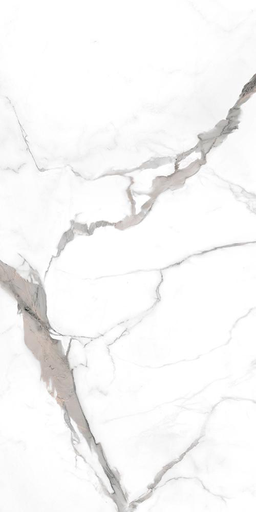 Calacatta grey 60x120