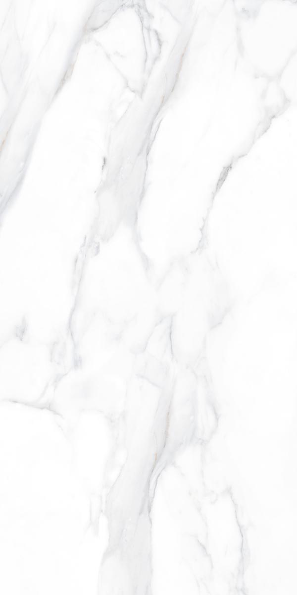 Stefano white 60x120