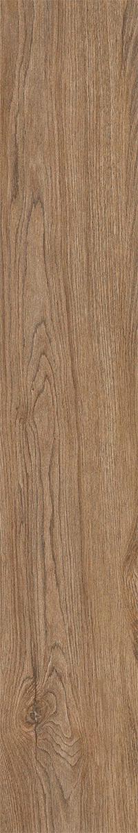 Woodline Light Brown XX 20x100