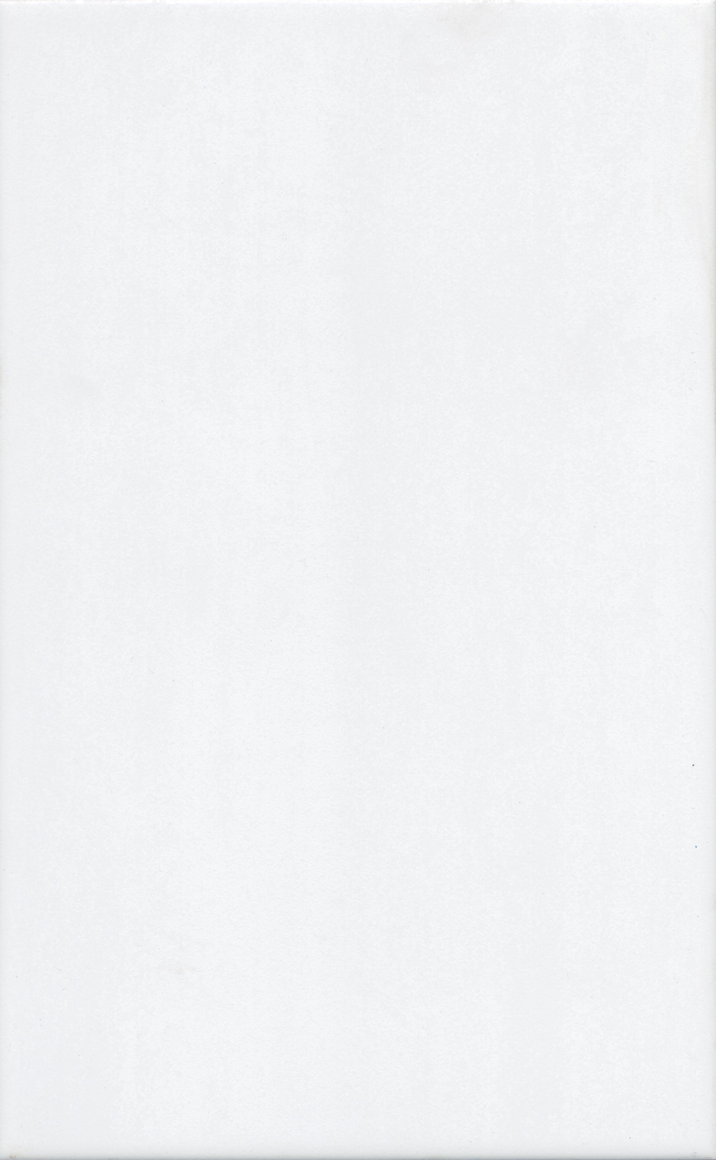 Ломбардиа белый |25x40