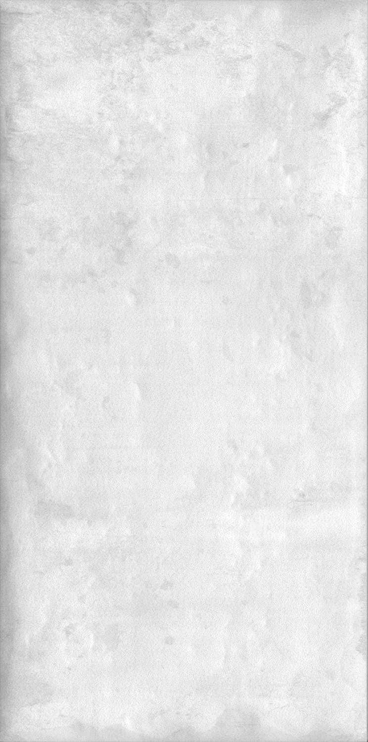 Граффити серый светлый |20x9,9