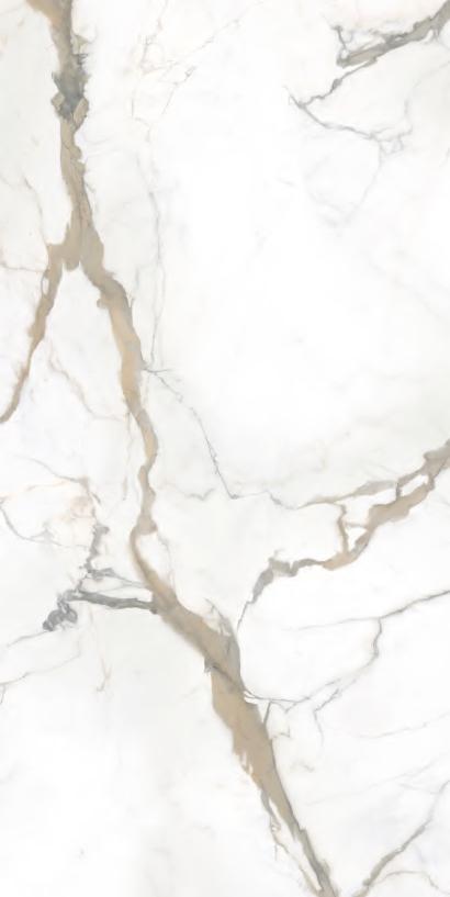 Calacatta brown 60x120