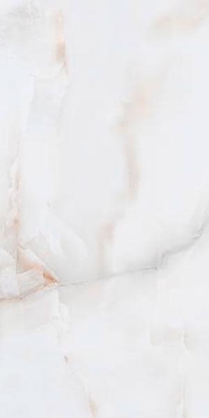 Mono Bianco XX 60x120