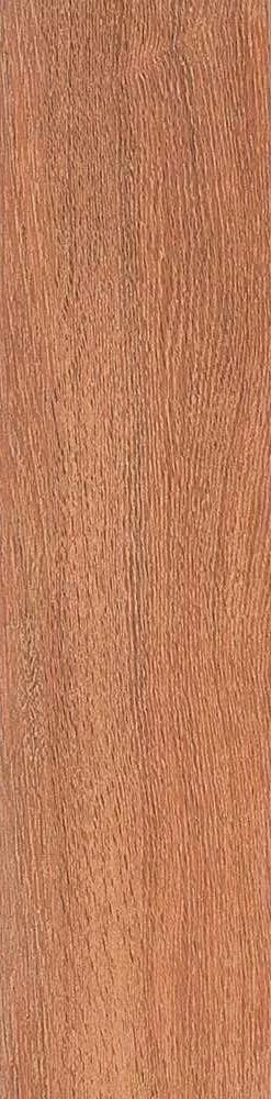 Вяз коричневый l9.9х40.2