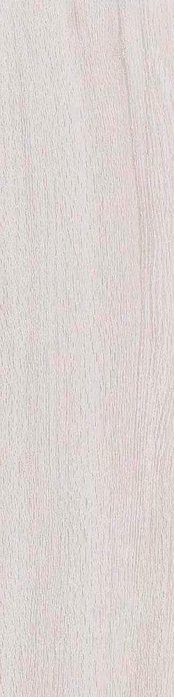 Вяз белый|9.9x40.2