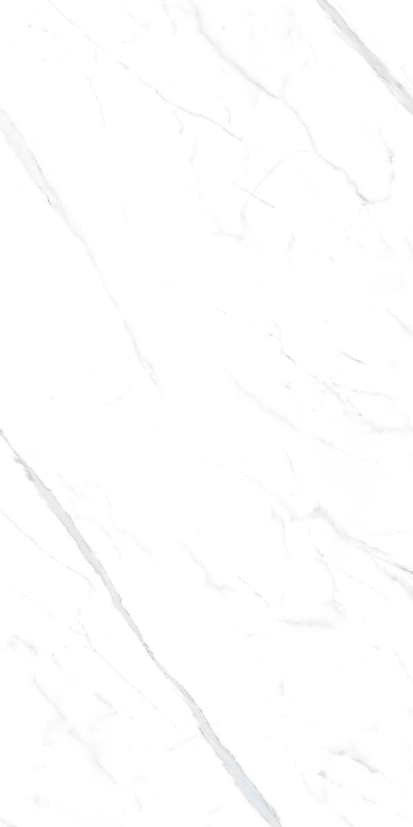 Statuario white 60x120