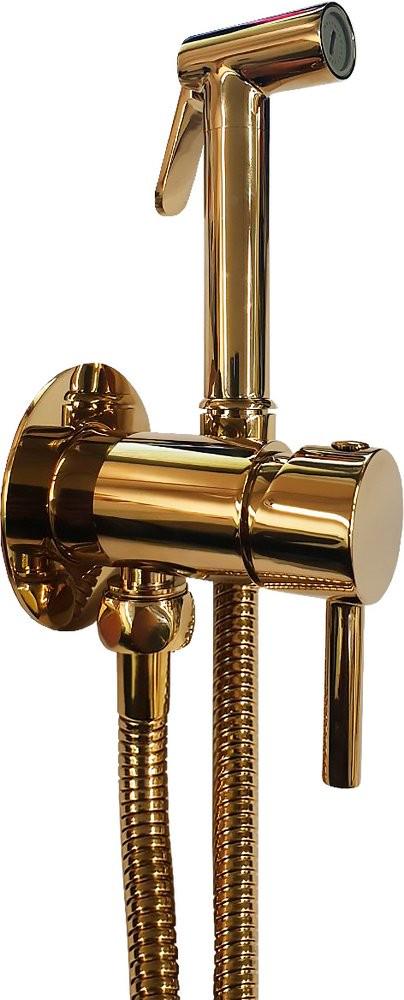 Смеситель совмещён. с гигиеническим душем, (готовый комплект: лейка металл,шланг металл120см.,скрытая часть), (цв.медовое золото), Tweet Round Mix ZZ