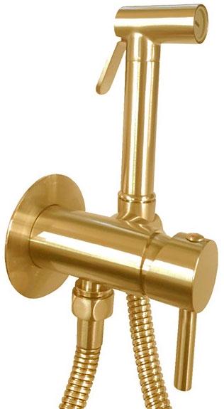 Смеситель совмещённый с гигиенич.душем, (готовый к-т: лейка, шланг металл 120см.,скрытая часть), (металл цв.золото медовое брашир), Tweet Round Mix ZZ