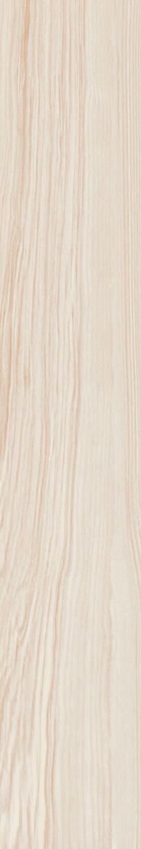 Selection 03 неполир. 19.4x120