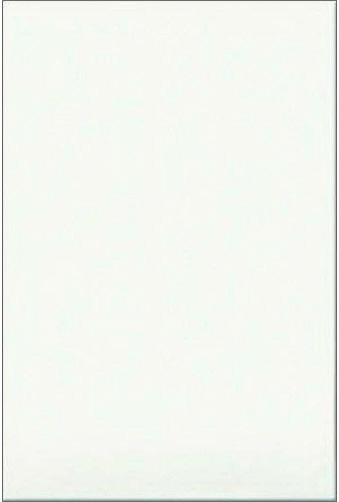 Белая матовая v2 1с ММ I20x30