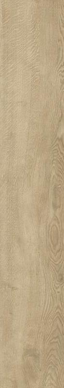 Керамогранит Queens медовый матовый l20x120