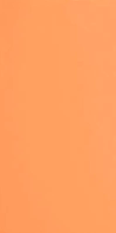 Грес Уральский UF026 насыщенно-оранжевый  моноколор матовый|60x120