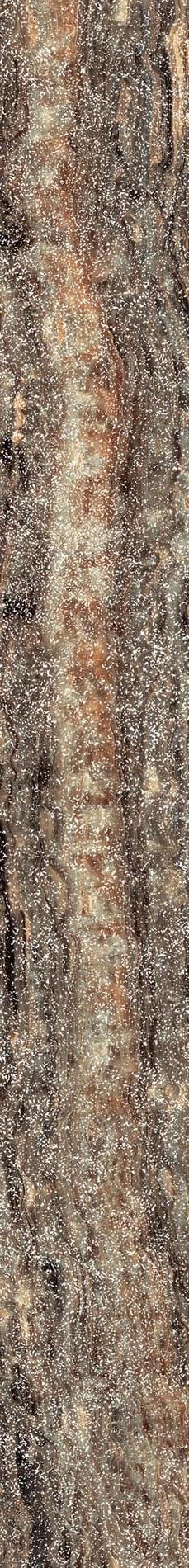 Epos Grey Battiscopa 7,2x60 Lap/ЭПОС ГРЭЙ ПЛИНТУС 7,2Х60 ЛАП