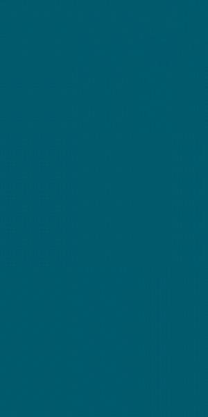 YOUR COLOR 88 бирюзовый непол. ZZ 60 х120