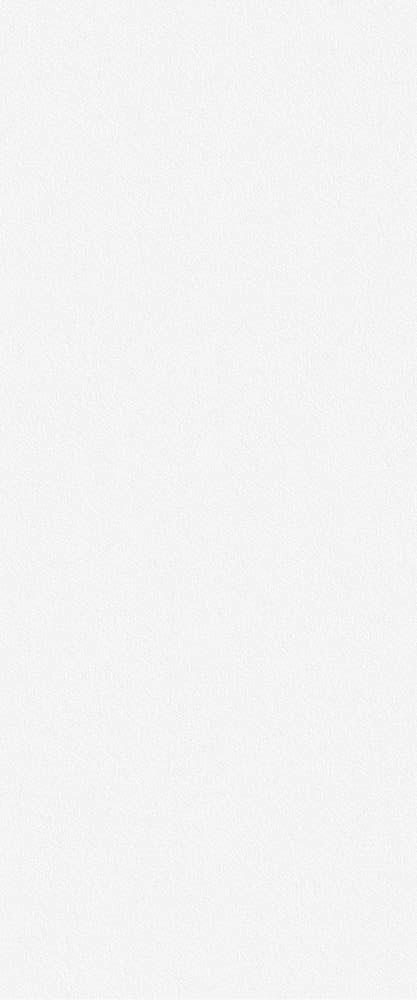 Monocolor sugar white wall 01 25х60
