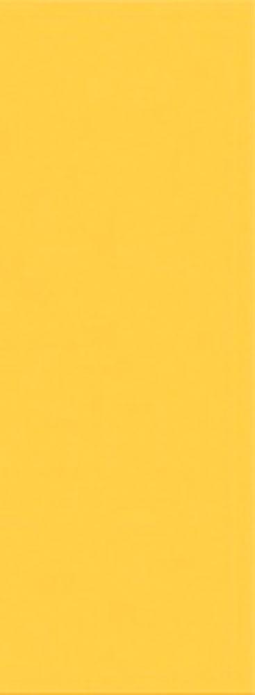 Vela Ochra |20.1x50.5