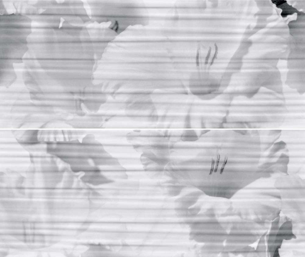 Celia white panno 01 (из 2х частей 25x60)  |50х60