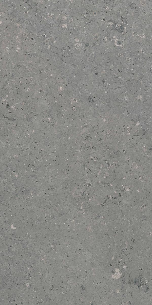 Arkaim Grey G213/Аркаим серый мат .60x120