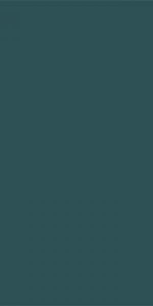 Грес YOUR COLOR 89 темн зеленый непол. ZZ|60 х120