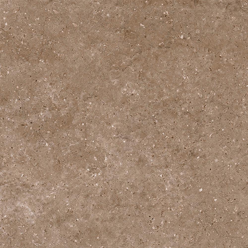 Arkaim Brown G214/Аркаим коричневый мат . 60x60