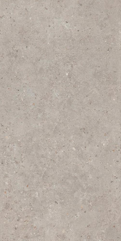 Риккарди серый светлый матовый обрезной 60х119,5