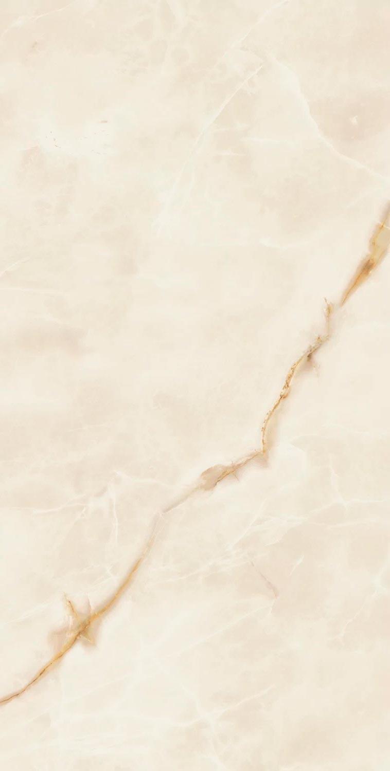 Symphonyx Gold 80x160 Lapp/Симфоникс Голд 80X160 Лап