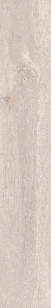 Daintree DA01 light beige неполир.19.4x120