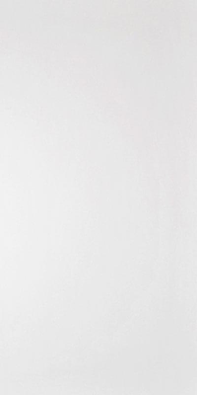 Керамогранит Domino G-100MR белый матовый  l60x120