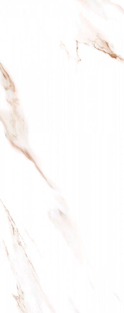 Calacatta Ivori 20.1x50.5