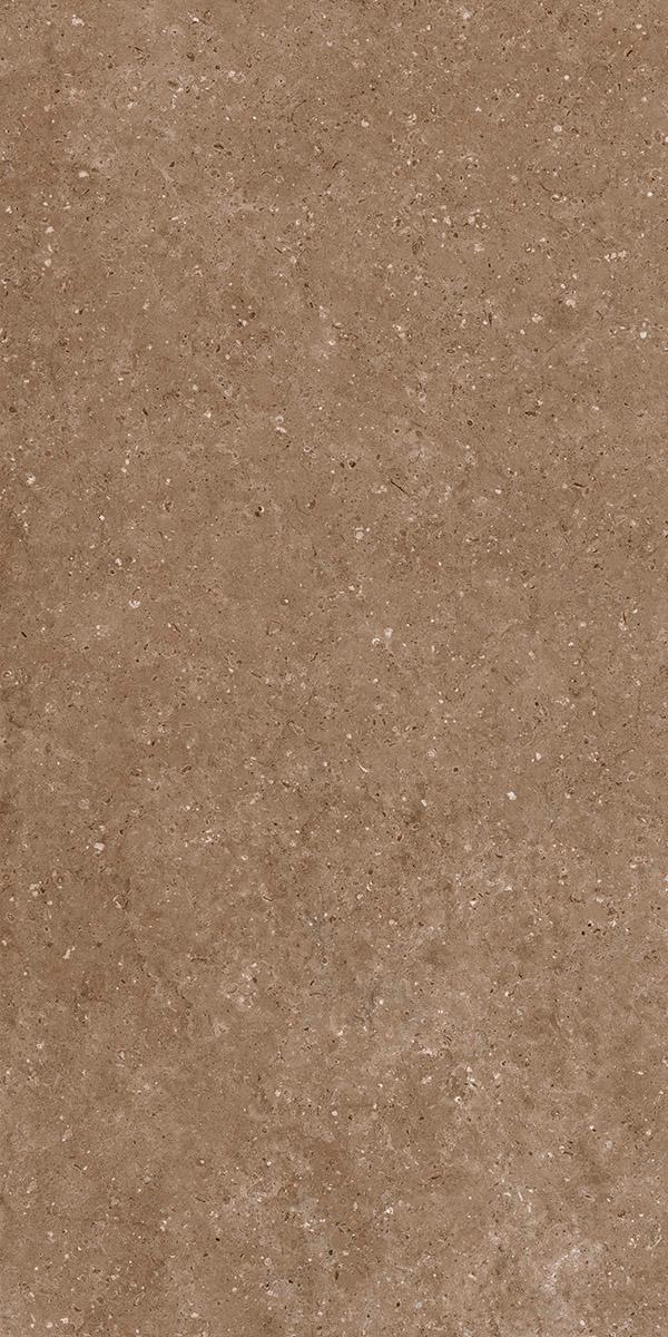 Arkaim Brown G214/Аркаим коричневый мат 60x120