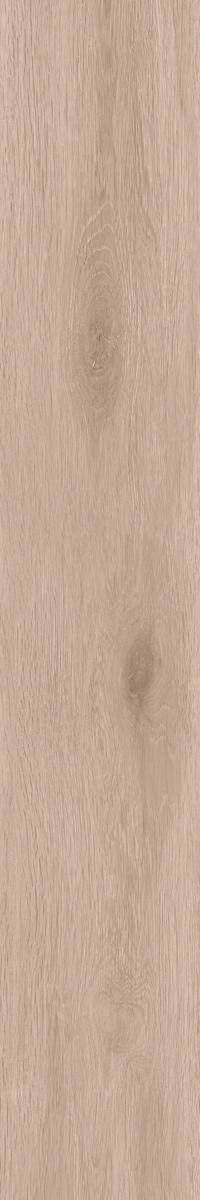 Selection SI01 неполир. 19.4x120