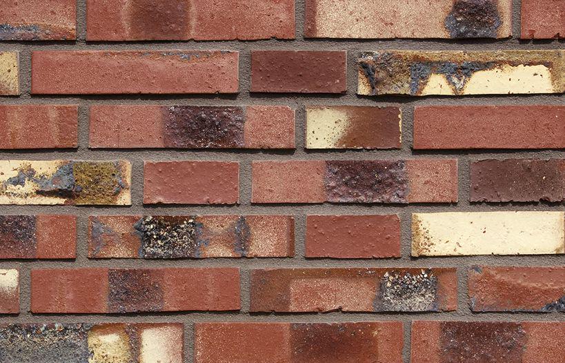 Кирпич обл. Woerden  DF GT ZZ |24x11.5x5.2