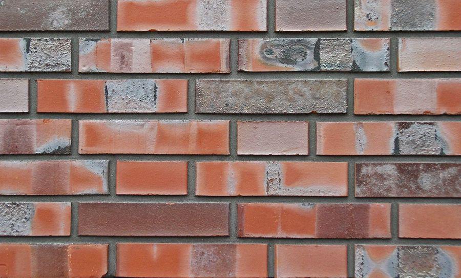 Кирпич обл. Schleswig DF GT ZZ |24x11.5x5.2