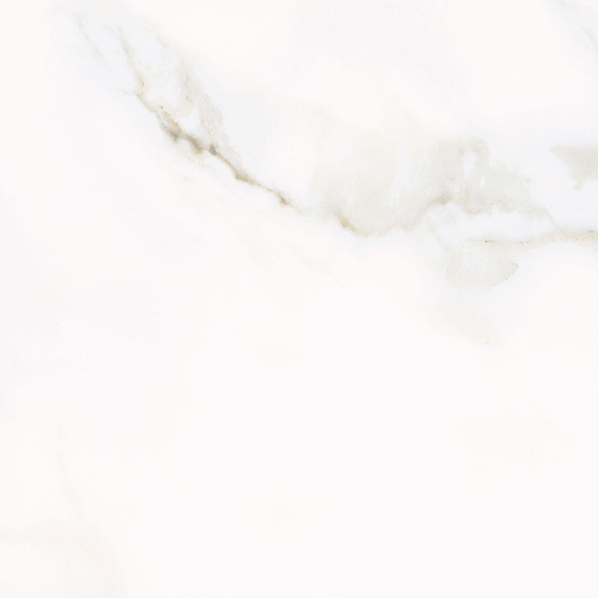 Calacatta |42x42