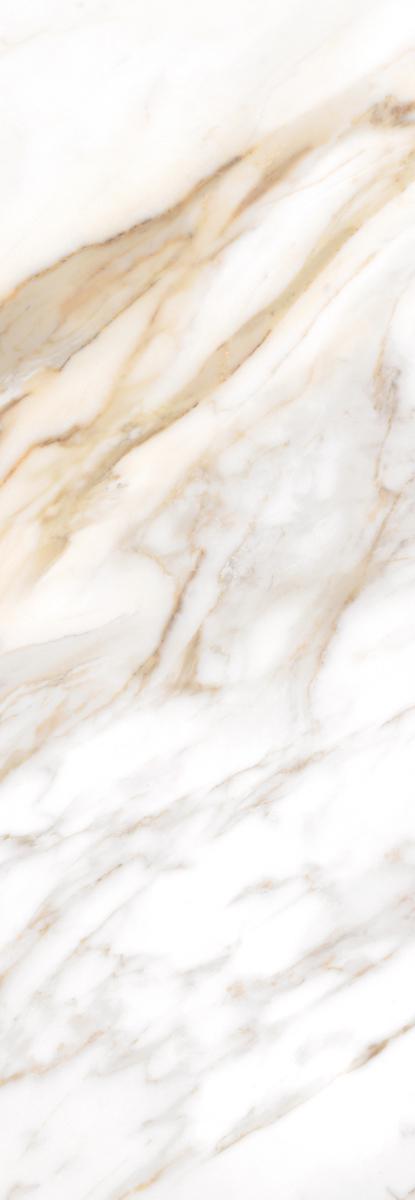 CALACATTA  ORO |24.2x70