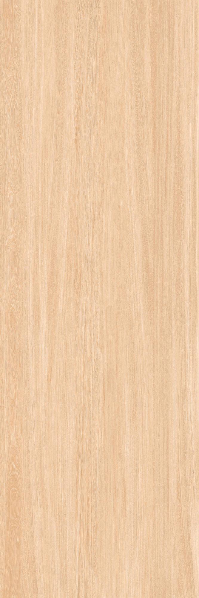 Legno Venezia (L-Wood) FAGGIO 5,6 mm XXZZ |100x300